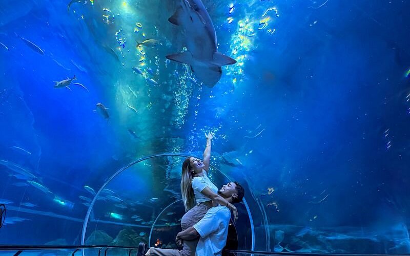 Interior do AquaRio no Rio de Janeiro